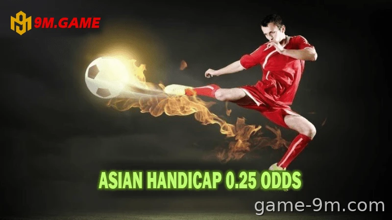 Asian handicap, over/under, European odds are the most popular.