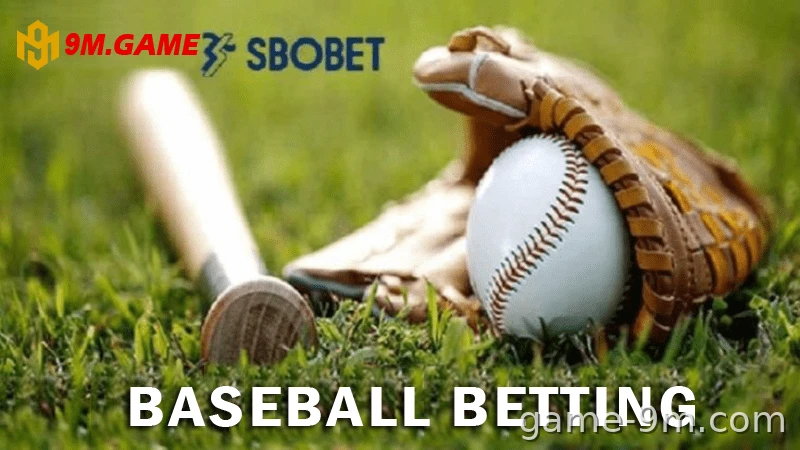 Understand the field, players, and basic rules.