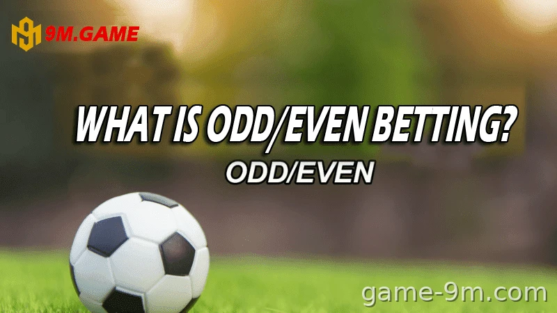 Understanding Odd/Even Betting in Sports Betting